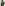 Military M65 Jacket | French Camo Green