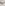 Sdr Garritsen Sunglasses | Tort/Dark Brown Grad