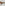 Sdr Dunaway Sunglasses | Tort/Dark Brown Fade