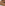 Ribbed Knit Scarf | Toasted Coconut Brown