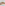 Sdr Dunaway Sunglasses | Tort/Dark Brown Fade