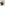 Sdr Dunaway Sunglasses | Tort/Dark Brown Fade