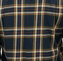 Bryce check navy