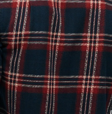Michigan check navy