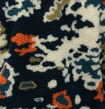Lichen print