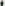 Essential Logo Zip Hoodie | Forest Green
